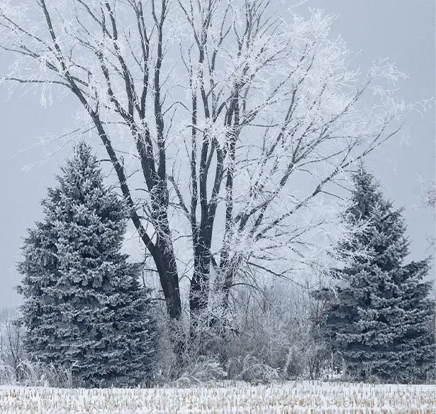 Call Scandia Heating & Air Conditioning to heal your winter woes with a new furnace to get you back to cozy.